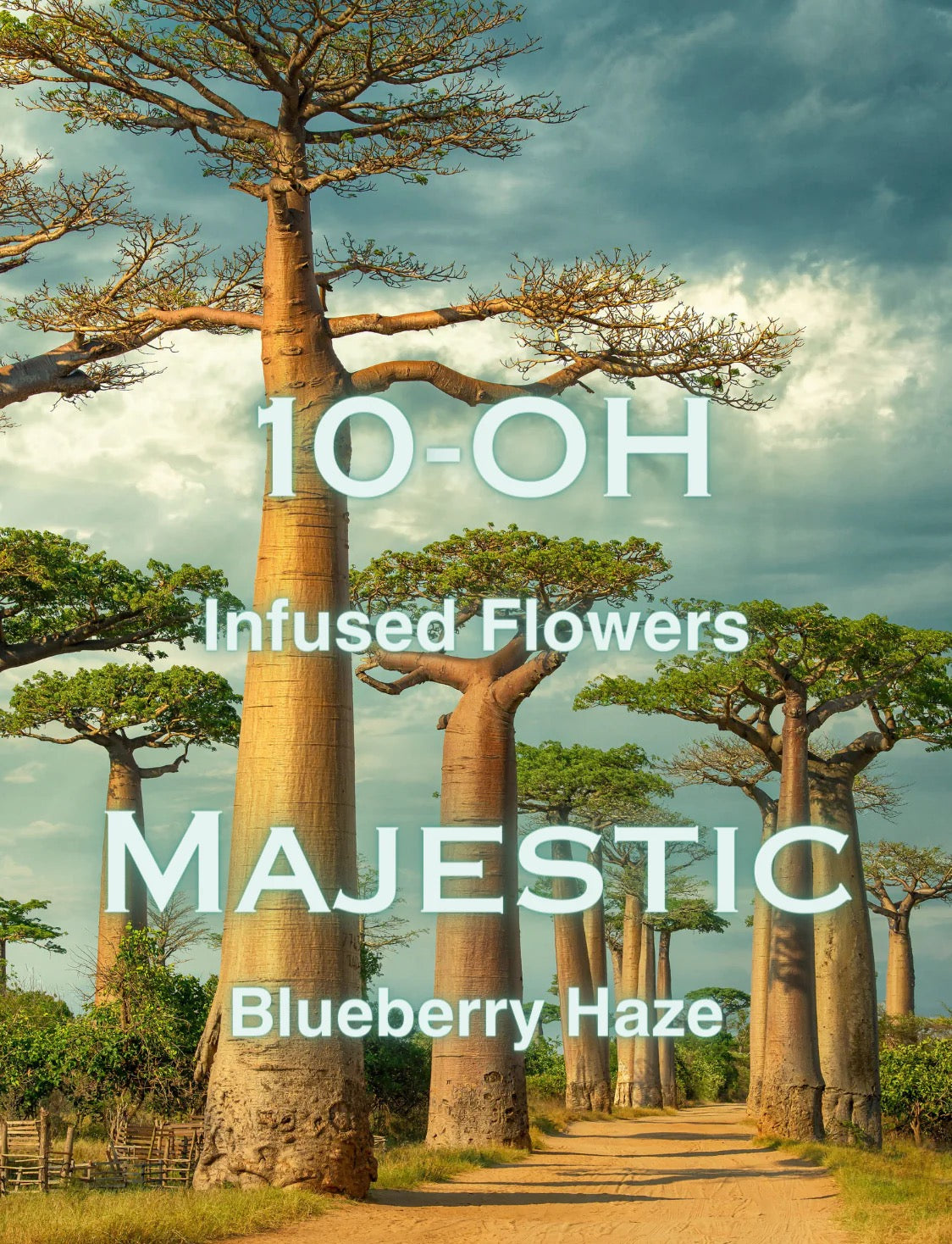 Majestic 10-OH Blüten Blueberry Haze